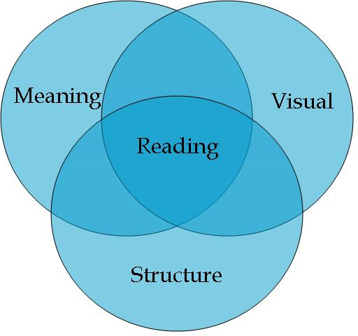 meaning-visual-structure view of reading