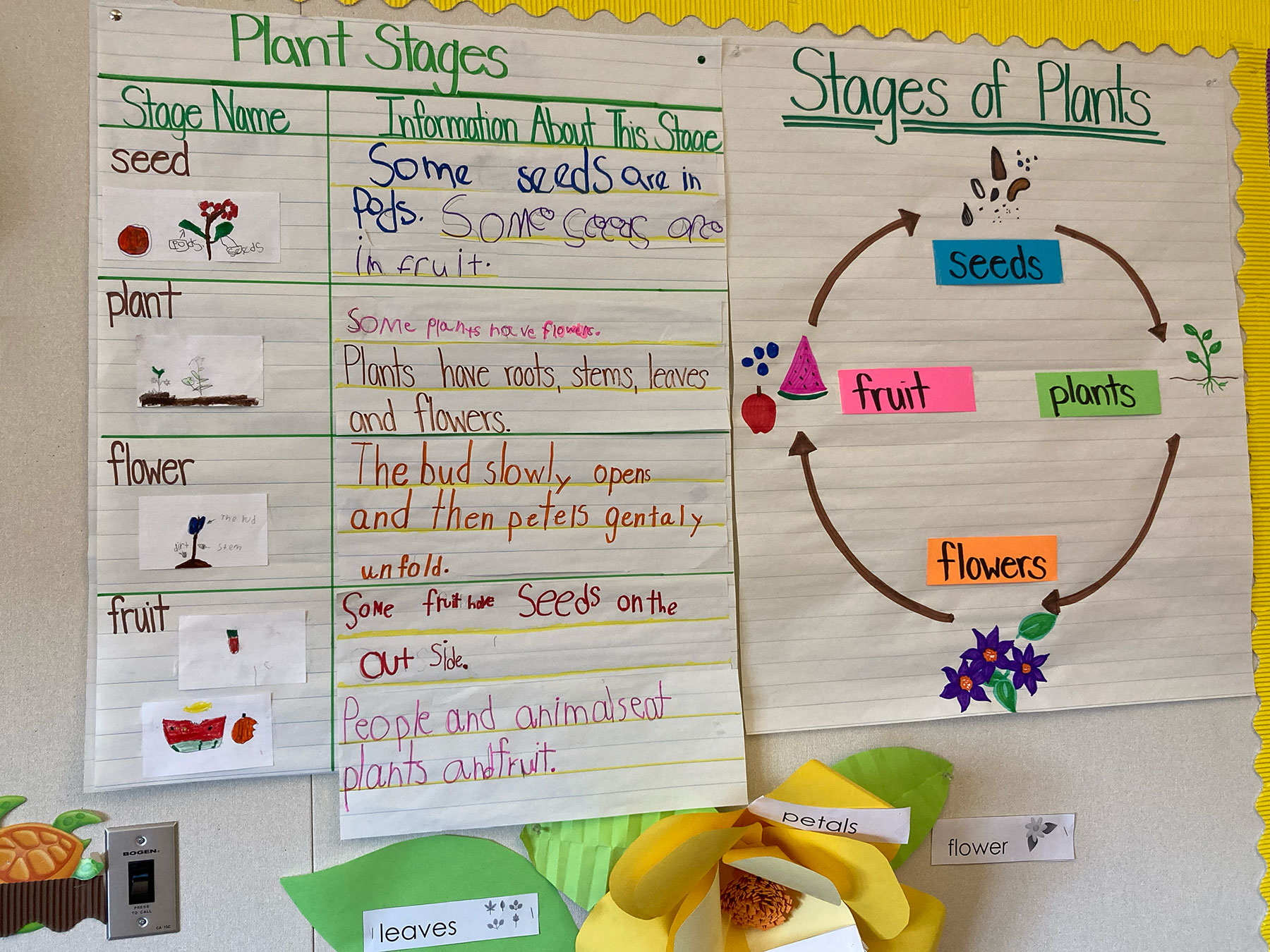 Display of pollination anchor chart in elementary classroom
