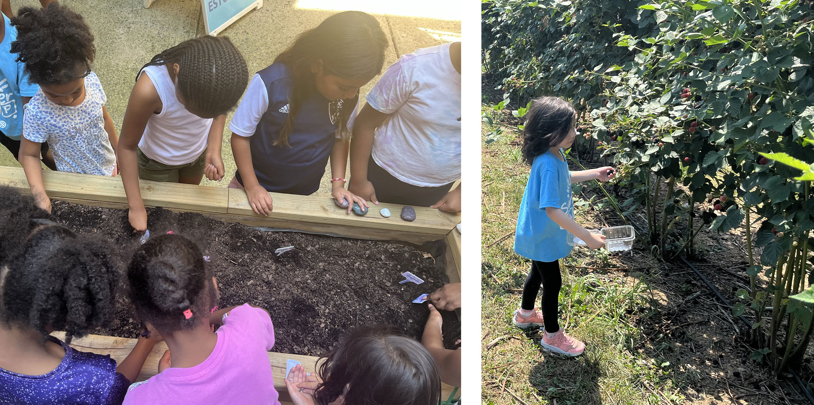 Kids outside exploring in the dirt and at an orchard