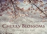 Cherry Blossoms: Photos