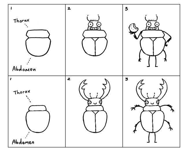 directions on two ways to draw a beetle in black and white